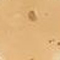BISCUIT-18.jpg