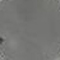 GRIS-14.jpg