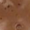 NOISETTE-38.jpg