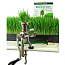 Соковыжималка ручная Wheatgrass Juicer BL-30 Juicer_manual_Wheatgrass_Juicer_BL30_2.jpg