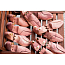 Колодки для обуви из кедра Tarrago (формодержатели) shoe_tree_tarrago_4.jpg